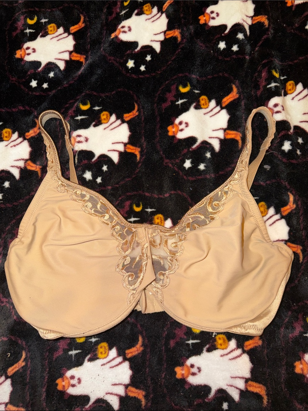 Lilyette Nude Lace-Trim Full Coverage Bra